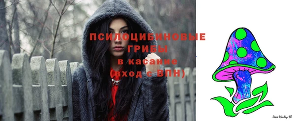 ECSTASY Краснотурьинск