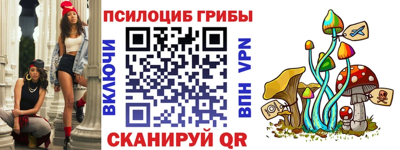 Купить  Новохопёрск  Галлюциногенные грибы Psilocybine cubensis 